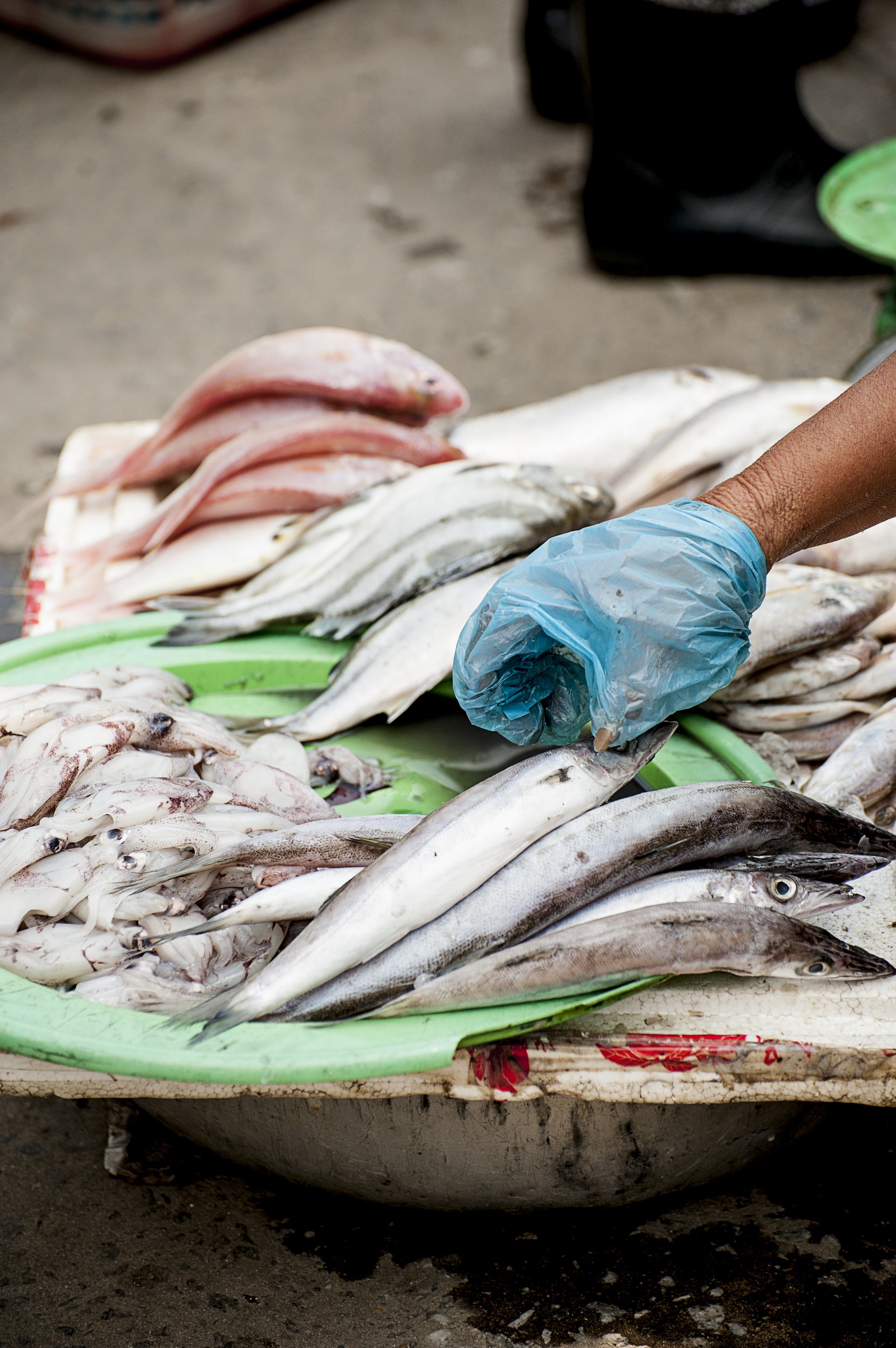 Kiat Pilih Makanan Laut yang Sehat dan Segar