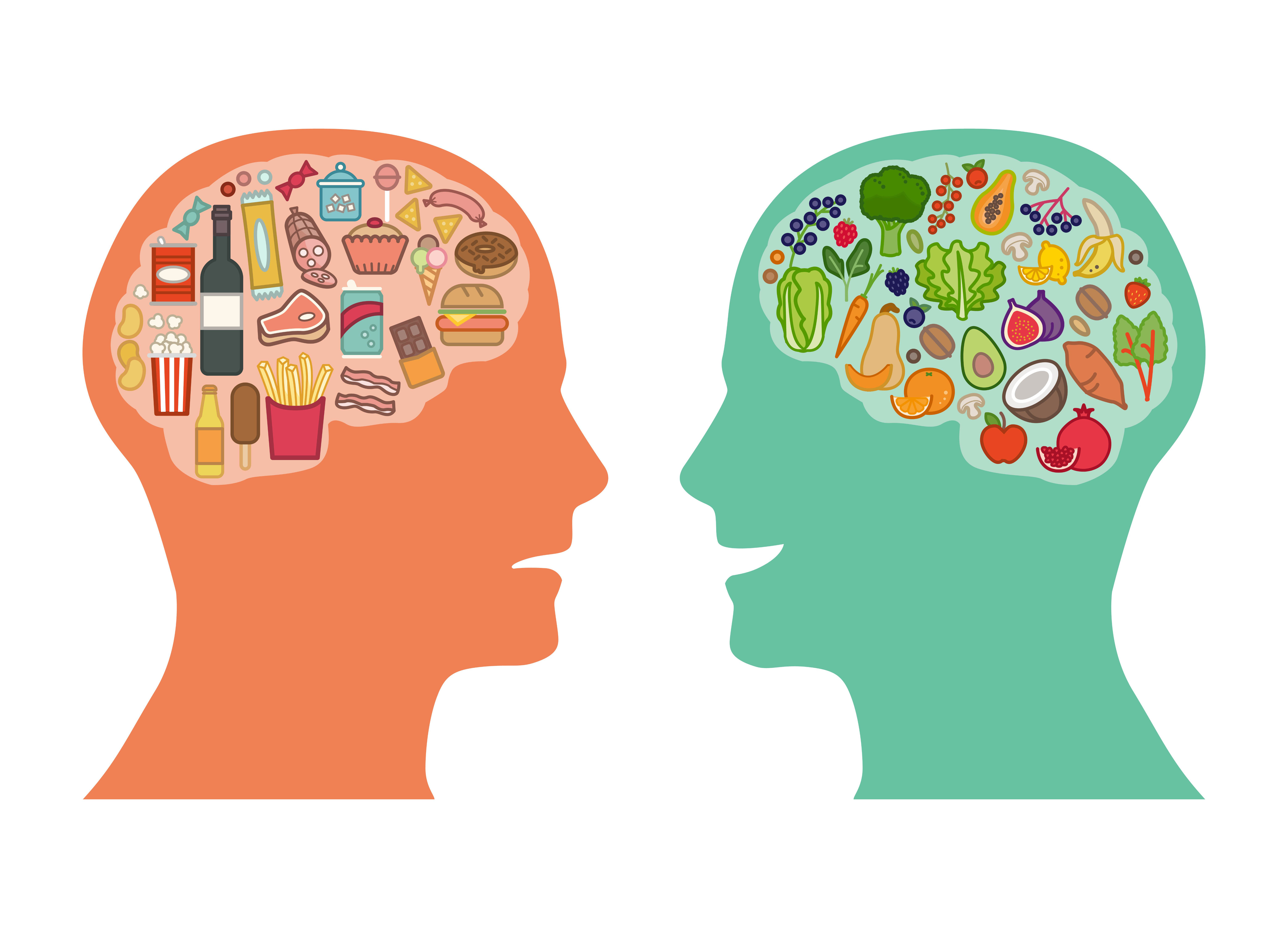 Продукт деятельности мозга. Психология питания. Еда для ума. Питание для мозга. Здоровое питание для мозга.