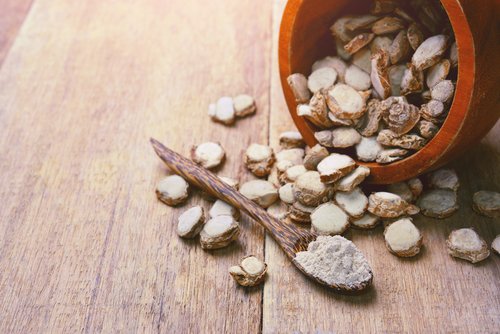 Mengenal Manfaat Kencur Untuk Kesehatan dan Kecantikan