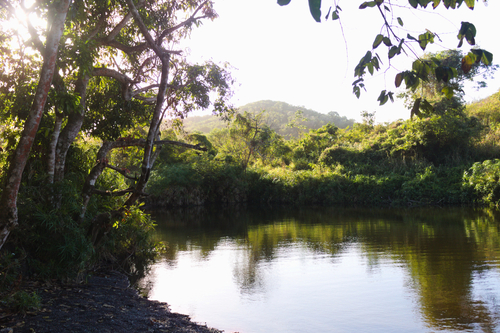 Ketahui Contoh Contoh Lingkungan Biotik Secara Lengkap