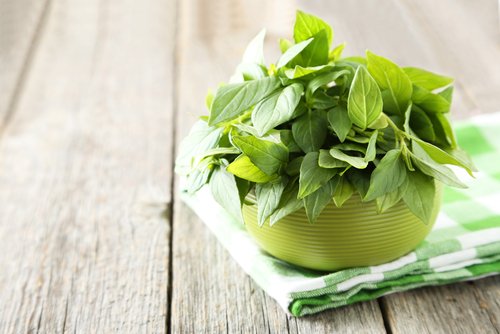 Manfaat Daun Kemangi dan Macam-macam Kandungan Gizinya