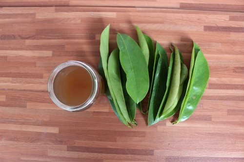 Manfaat Daun Sirsak untuk Kesehatan Tubuh dan Cara Pakainya