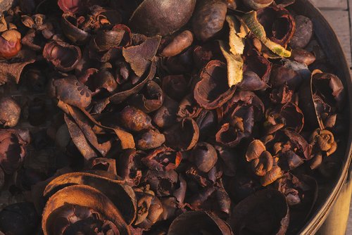 Simak Manfaat Kulit Manggis untuk Kesehatan Wanita dan Pria