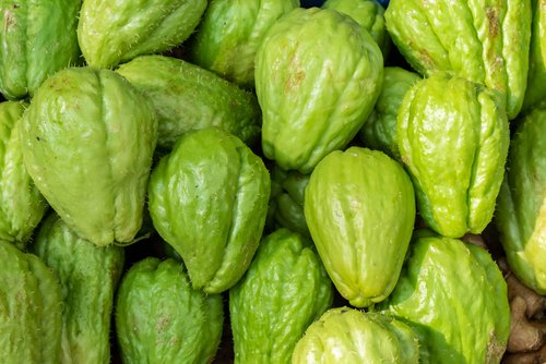 Kandungan Labu Siam dan Manfaatnya Untuk Kesehatan Tubuh