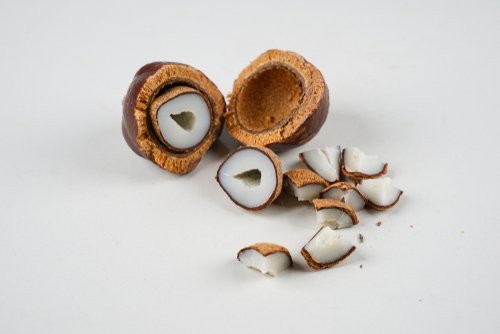 Manfaat Buah Zuriat untuk Kesehatan yang Wajib Dicoba