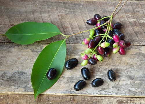 Manfaat Buah Jamblang untuk Kesehatan yang Wajib Diketahui