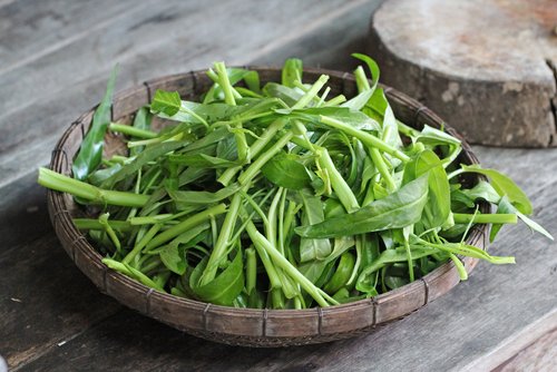 Manfaat Sayur Kangkung untuk Anak Kecil dan Orang Dewasa