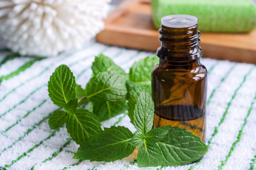 mengatasi perut kembung dengan minyak peppermint