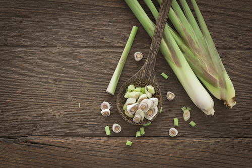 kandungan yang ada dalam daun sereh            