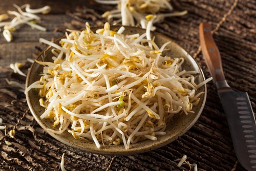 Berikut 5 Manfaat Toge dan Kandungan Gizi Lengkap