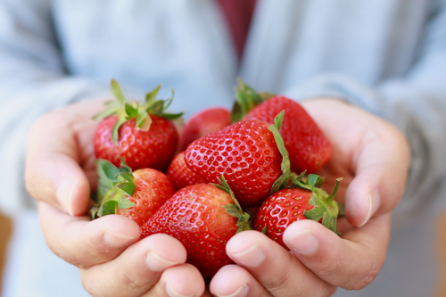 manfaat strawberry untuk kesehatan