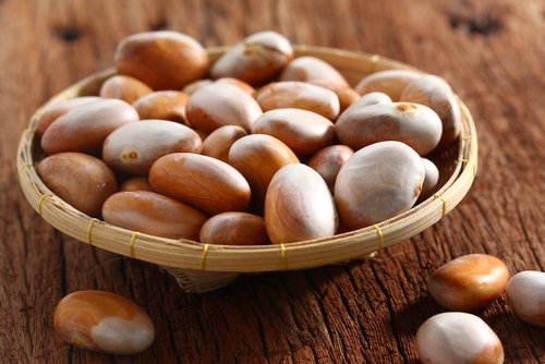 6 Manfaat Biji Nangka untuk Kesehatan Pria dan Wanita