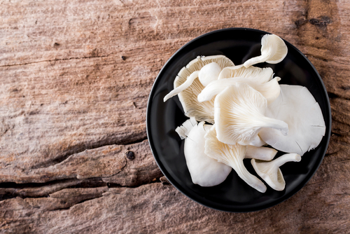 manfaat jamur tiram untuk kesehatan       