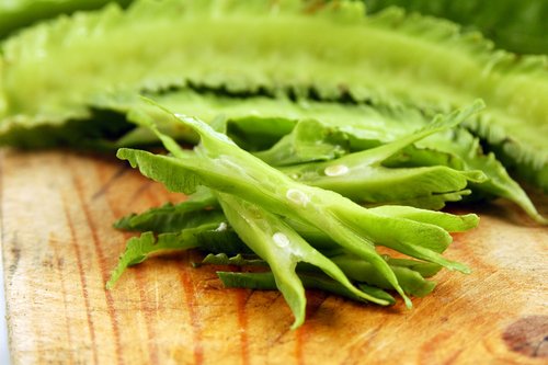 Berikut 6 Manfaat Kecipir dan Cara Mengkonsumsinya