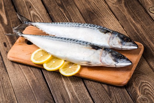 6 Manfaat Ikan Tongkol dan Kandungan Nutrisinya