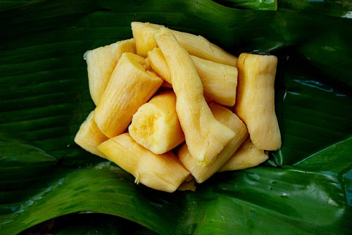 Cek 7 Manfaat Tape untuk Kesehatan dan Cara Mengolah