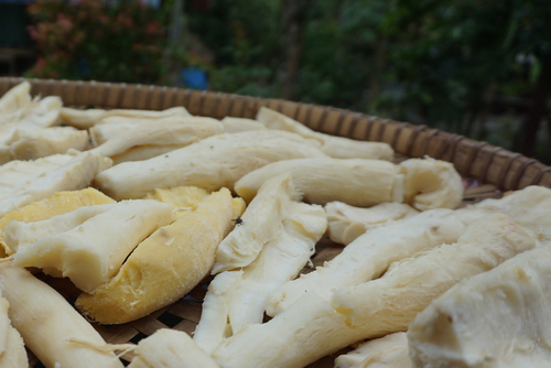 berbagai manfaat tape untuk kesehatan