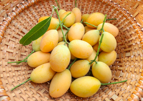 berbagai manfaat buah gandaria