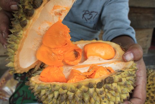 Manfaat Buah Lai dan Cara Mengkonsumsinya dengan Benar