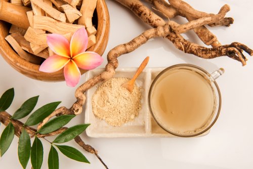 5 Manfaat Pasak Bumi dan Cara Mengolahnya yang Benar