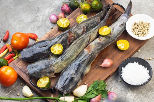 Inilah 7 Manfaat Ikan Lele Bagi Kesehatan