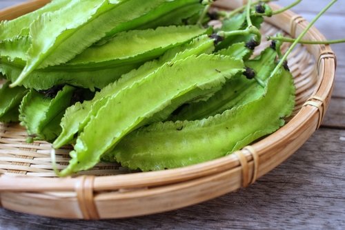 Wajib Tahu! 7 Manfaat Kecipir Bagi Kesehatan. Apa Saja?