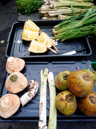 Simak 7 Manfaat Umbut Kelapa Secara Lengkap di Sini