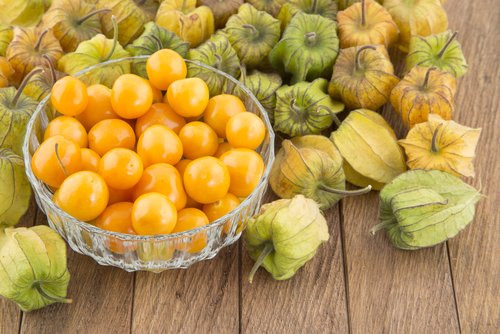 6 Manfaat Buah Ciplukan yang Baik Untuk Kesehatan Anda