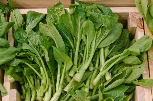 manfaat sawi hijau untuk kesehatan mata