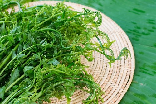 Apa Saja Manfaat Kale Simak Secara Lengkap Di Sini