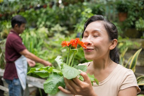 Anda Stres? Coba Berkebun!