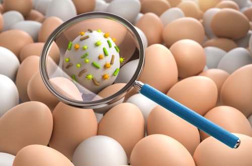 result searching image