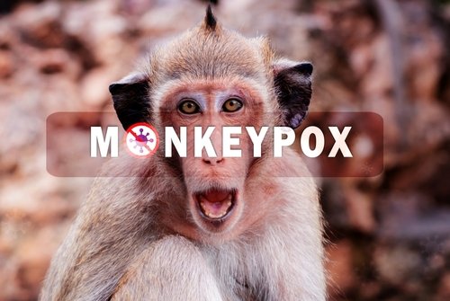 Tips Waspada Cacar Monyet alias Monkeypox