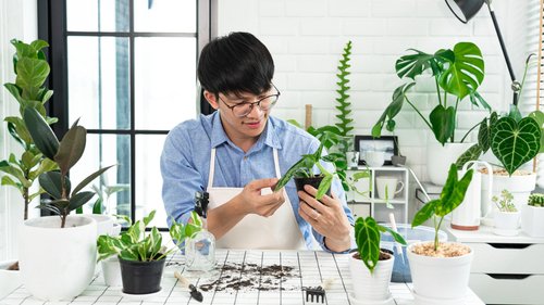 result searching image