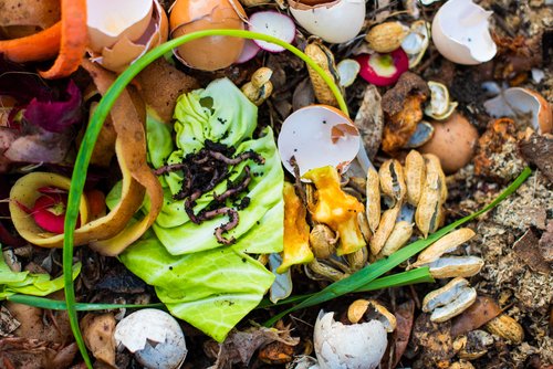 Cara Memanfaatkan Sampah Organik Menjadi Pupuk dengan Biopori