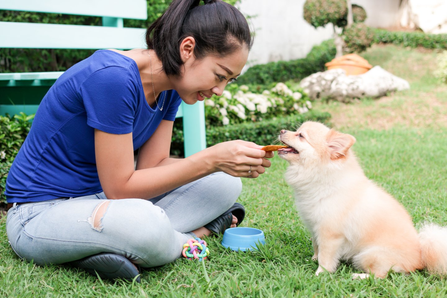 Cara Memulai Usaha Penitipan Hewan Peliharaan