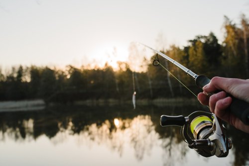 Berikut Strategi Sukses Cara Usaha Pemancingan untuk Pemula