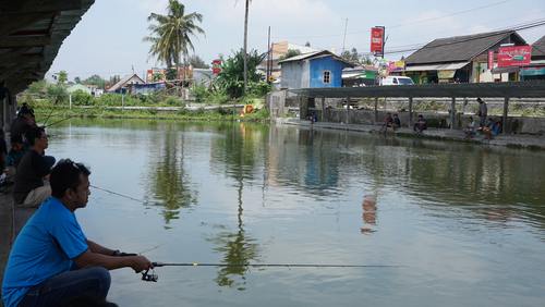 menyiapkan kolam usaha pemancingan