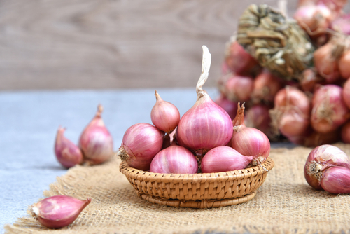 pilih bawang goreng yang berkualitas