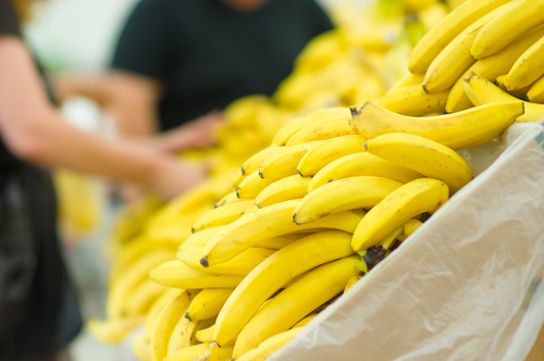 usaha jualan pisang 