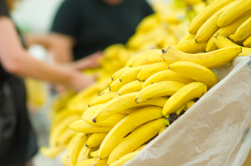 usaha jualan pisang