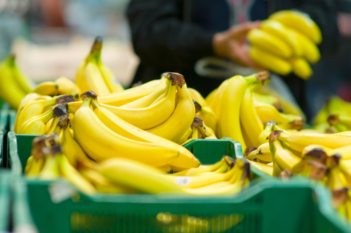 siapkan modal usaha jualan pisang             