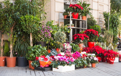 usaha dekorasi aqiqah