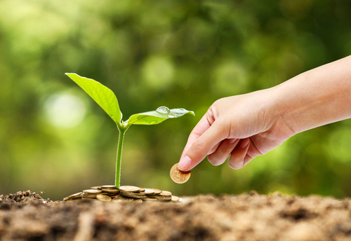 manfaat investasi tidak langsung