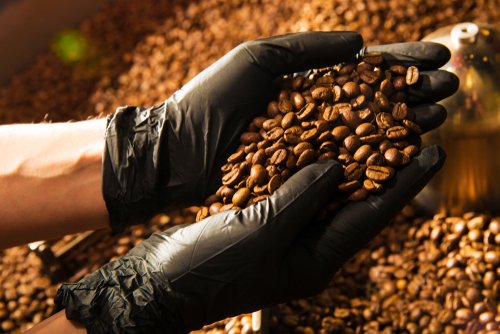 Bisnis Kedai Kopi Lokal (Bagian 1)